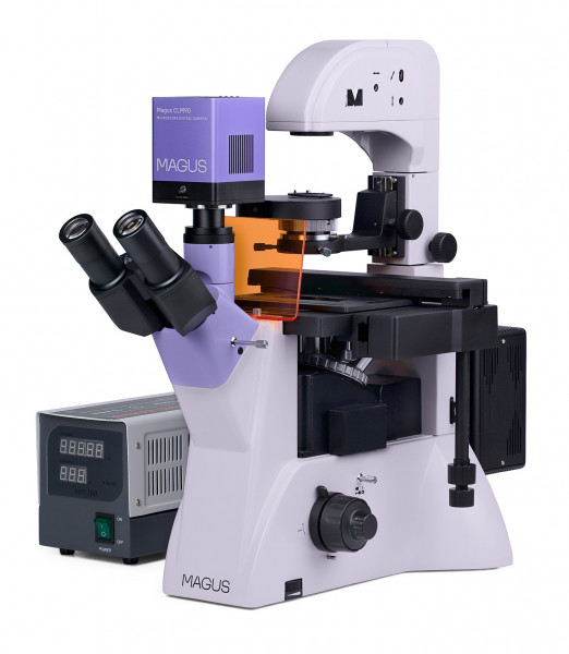 Микроскоп люминесцентный инвертированный цифровой MAGUS Lum VD500