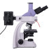 Микроскоп люминесцентный цифровой MAGUS Lum D400 LCD