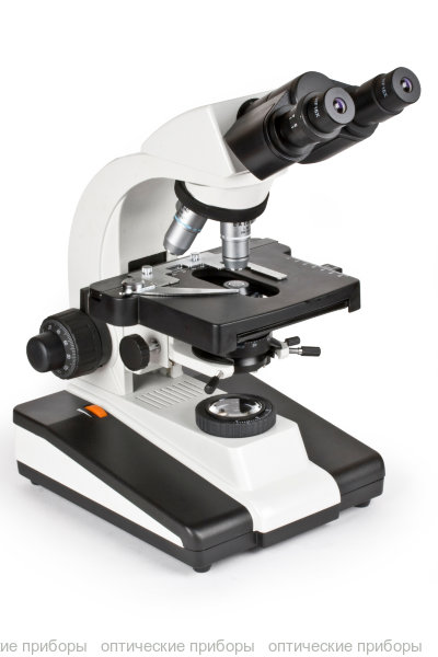 Линзы объектива микроскопа | Olympus