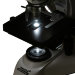 Микроскоп Levenhuk MED 20B, бинокулярный