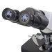 Микроскоп бинокулярный Микромед 3 (вар. 2-20)