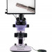 Микроскоп стереоскопический цифровой MAGUS Stereo D7T LCD BASE