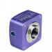 Микроскоп стереоскопический цифровой MAGUS Stereo D8T BASE