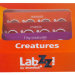 Набор микропрепаратов Levenhuk LabZZ C12, существа